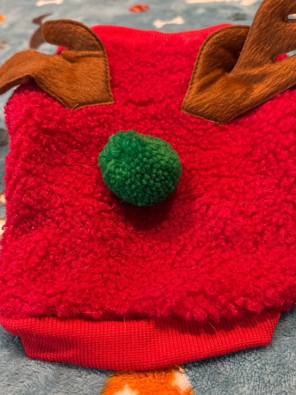 Festive Red Reindeer Pom-Pom Small Pet Hat